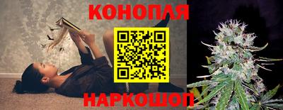 прущие грибы Балаково
