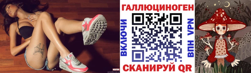 маркетплейс как зайти  Владимир  Псилоцибиновые грибы GOLDEN TEACHER  купить  цена 