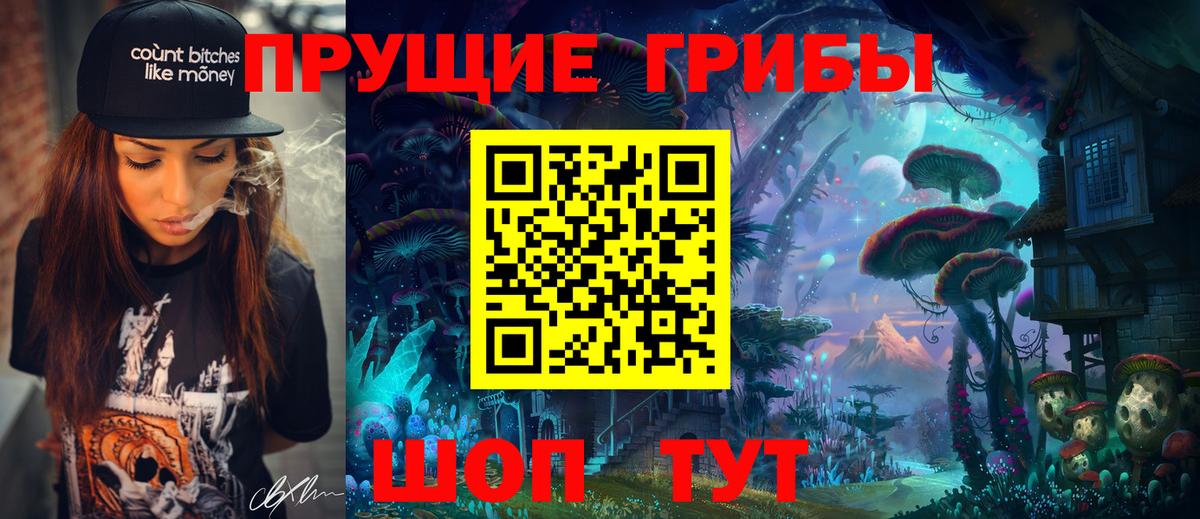 Галлюциногенные грибы MAGIC MUSHROOMS  Псилоцибиновые грибы прущие грибы  Владимир  Вход с VPN 